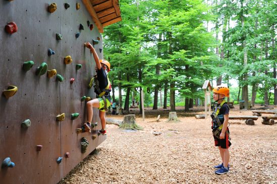 Rocks ’n Rivers Treetop Adventure Park | VisitBrabant