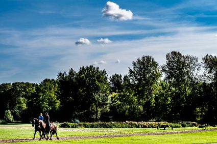 paardrijden amstelveen
