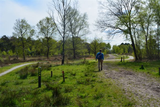Neterselse heide