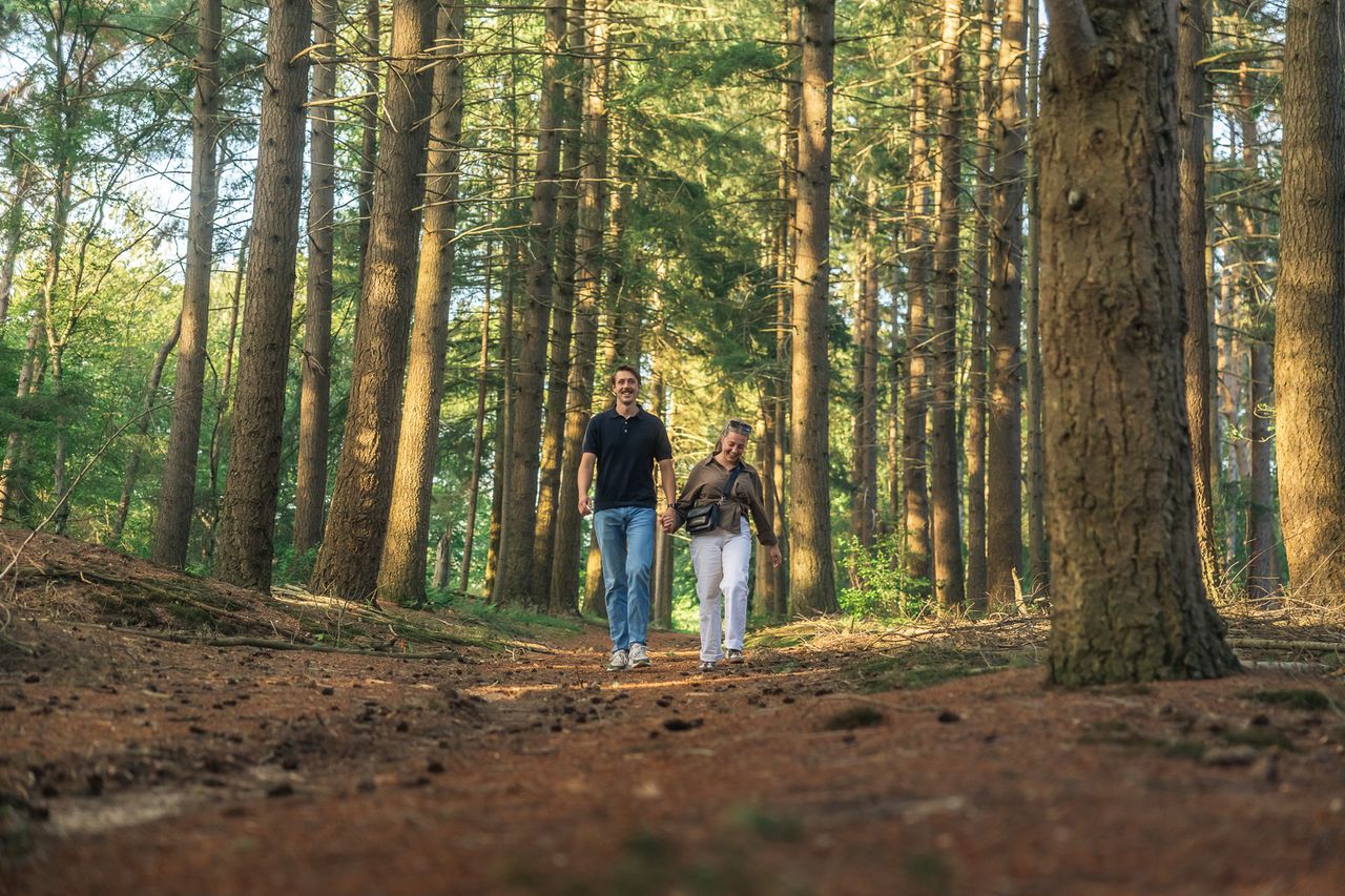 Een stel wandelt over een bospad tussen hoge naaldbomen op de Utrechtse Heuvelrug. Het warme zonlicht tussen de bomen geeft de wandeling een rustige en sfeervolle uitstraling.