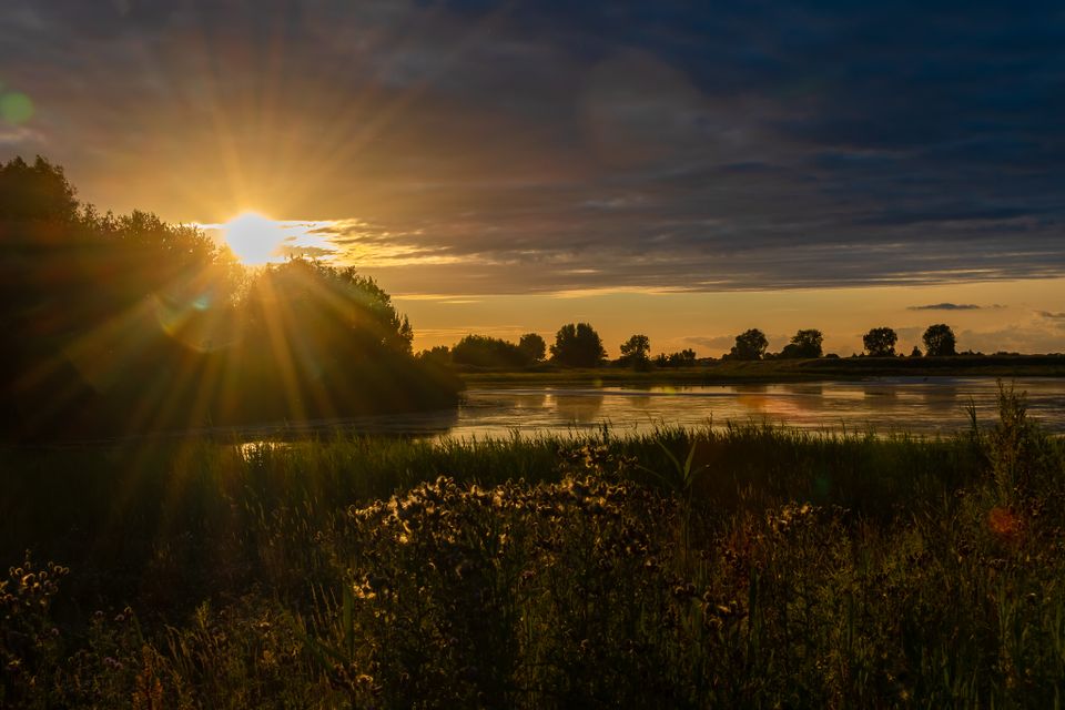 Zon gaat onder achter bomen