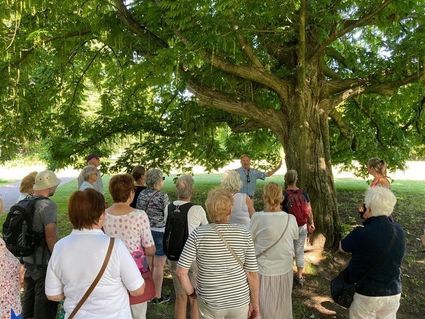 Een gids met daaromheen een groep mensen bij een boom in de bossen