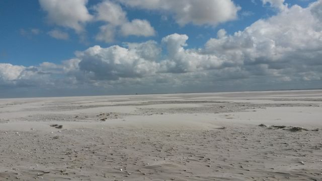 Wad bij Noordpolderzijl