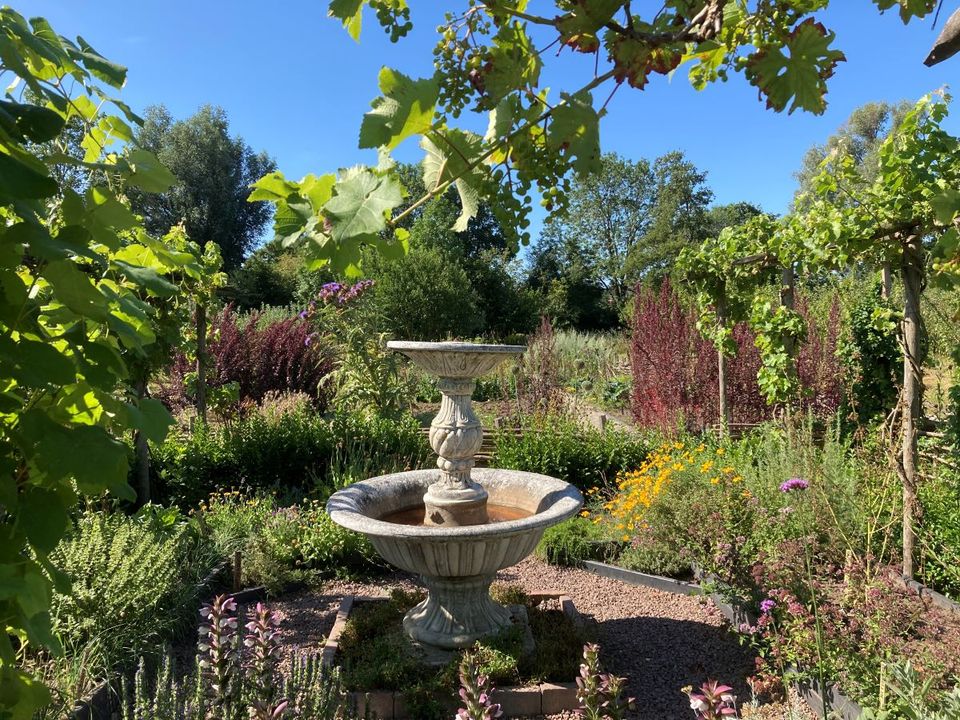 Fontein in een prachtige groene tuin, met een wijnrank op de voorgrond.