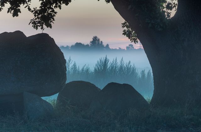 Hunebed op de Hondsrug