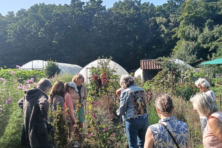 Bodemvrucht Kruidenwandeling
