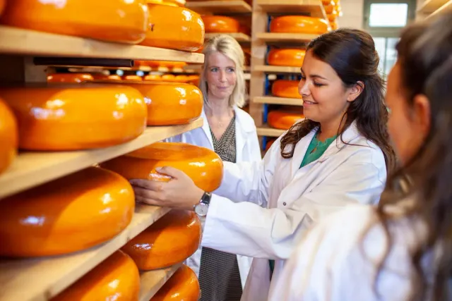 cheese-experience-woerden-vvv