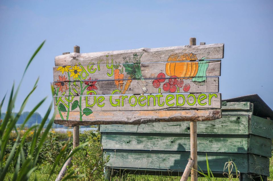 Tuinderij De Groenteboer bij De Boerinn in Kamerik, Groene Hart, verse biologisch geteelde wortels met aarde eraan net geoogst uit de moestuin tijdens een duurzame dagactiviteit op het platteland.