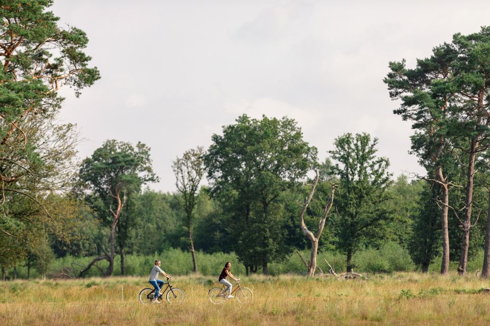 Een man en vrouw fietsen door de Drentse natuur.