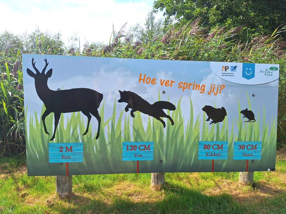 Wandelroute Pettebosk