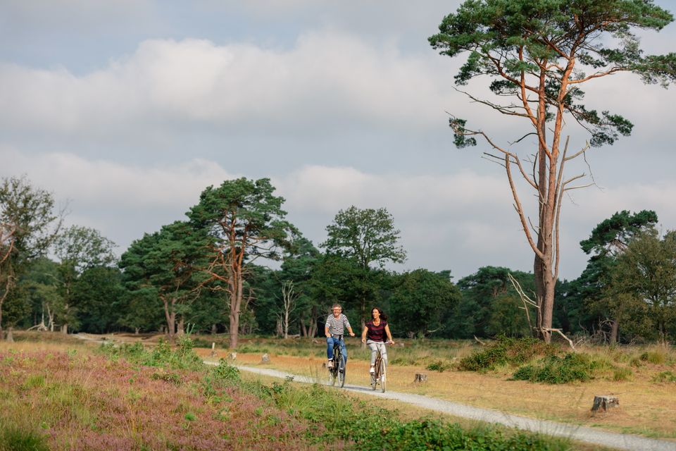 Een stel fietst in de zomer door de Drentse natuur.