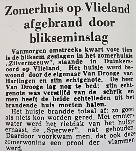 Zilvermeeuw Vlieland in de krant