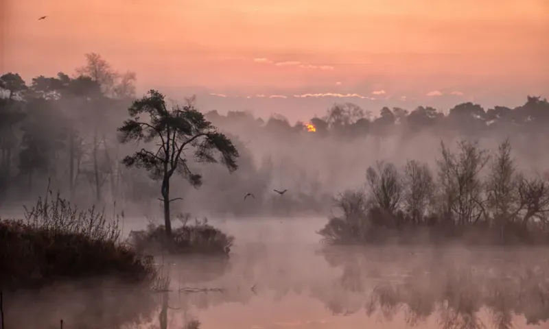 Mysterieuze foto van bomen en ven in de mist tegen oranje-roze lucht.