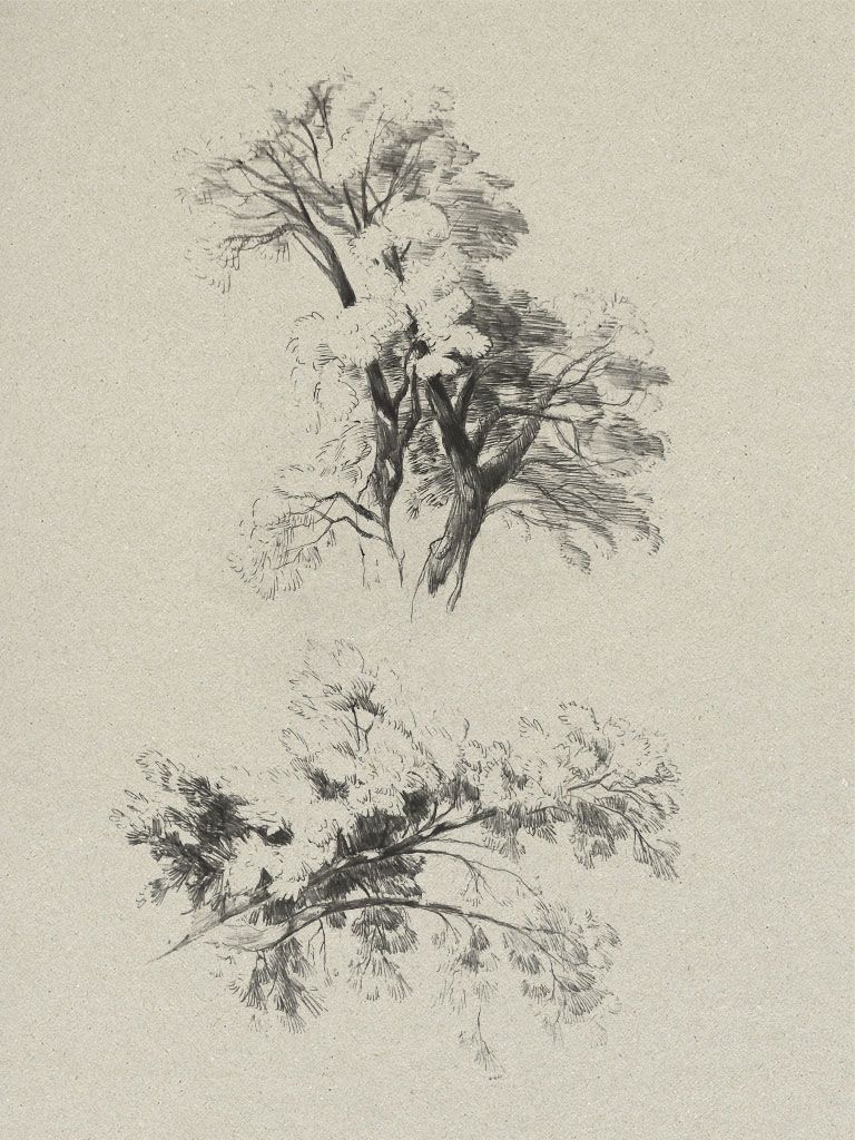 trees-in-bic-ultra-fine-pen_3533900454.jpg