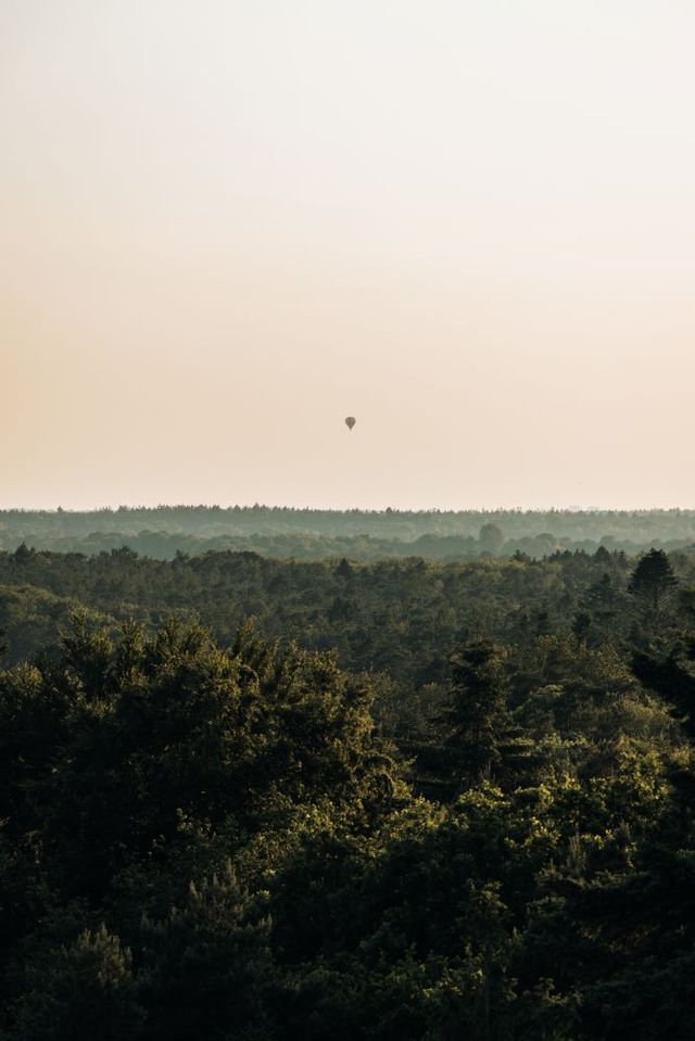 Het uitzicht vanaf uitkijktoren Poolshoogte. Een luchtballon zweeft boven de boomtoppen