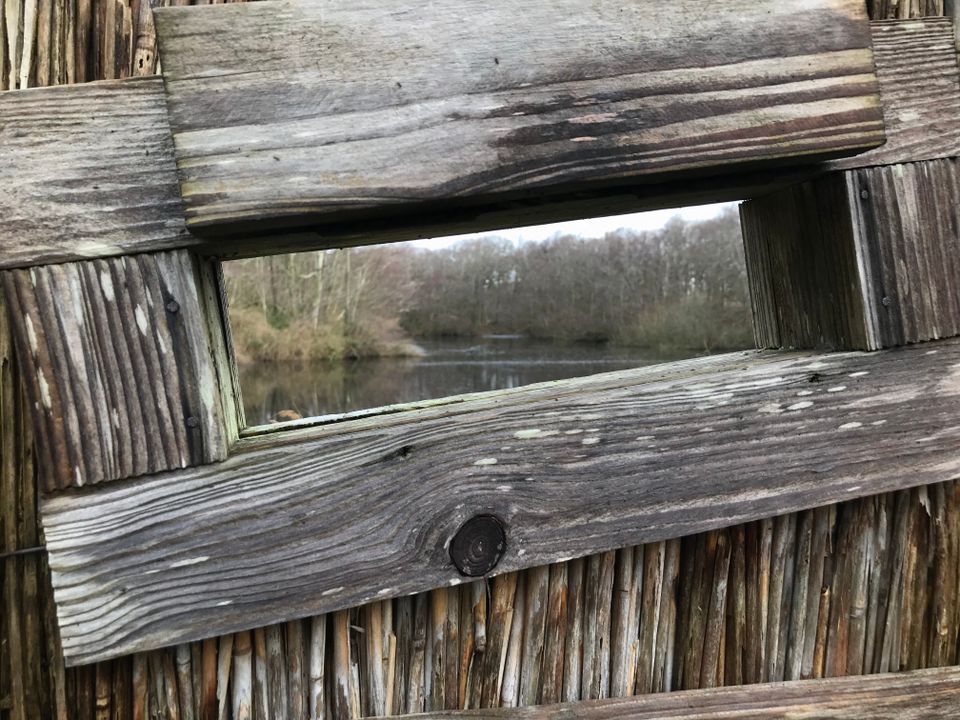 Oude Kooi Vlieland 2