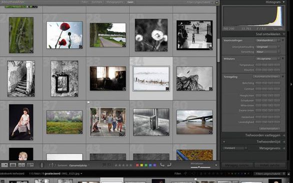 Cursus Lightroom