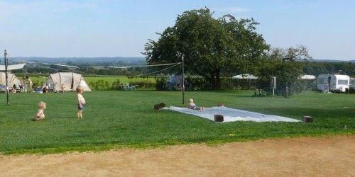 Minicamping en Rundveehouderij De Hoge Hof photo 5