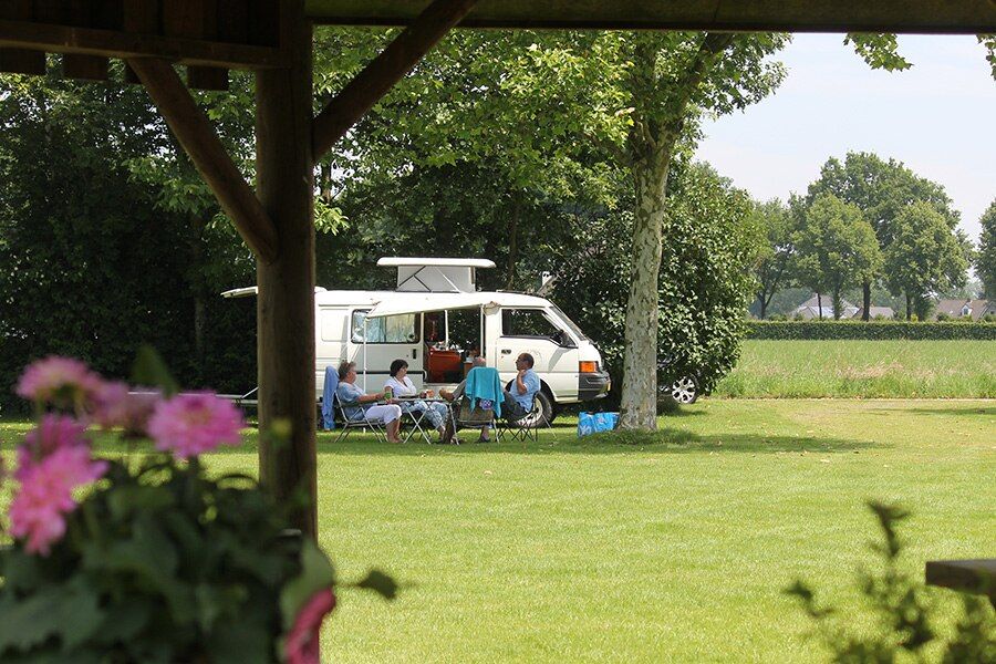 Gezellig op het grasveld