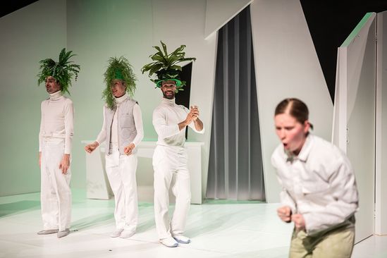 MaxTak: Het Groene Meisje (8+)