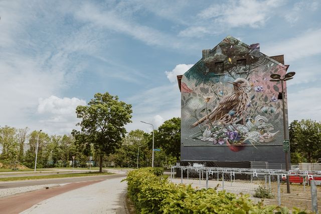 Song thrush mural Maastricht
