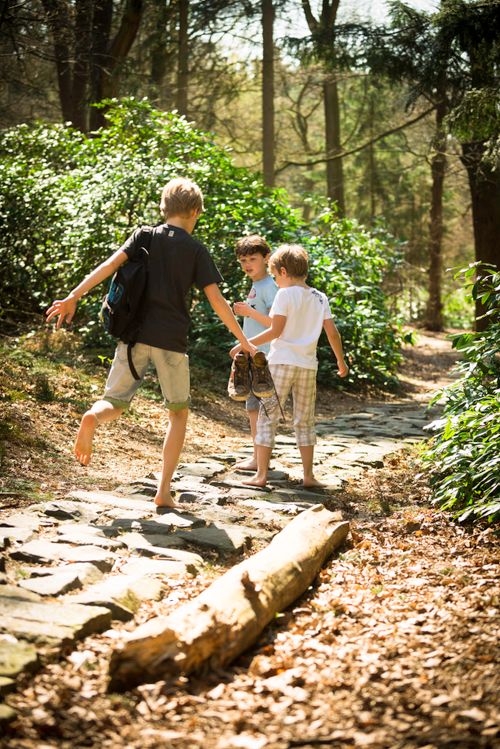 Kinderen lopen in het bos over het Blote Voetenpad, met hun schoenen in de hand.