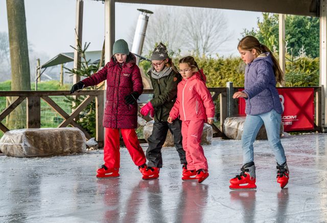 Kinderen op schaatsbaan