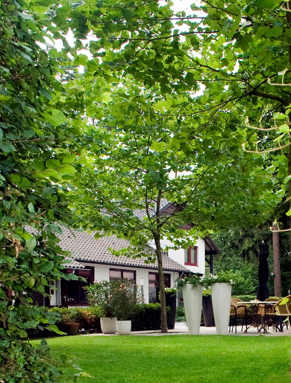 Witte gevel van het hotel met een groen grasveld en omringd met bomen. Terras met witte plantenpotten.