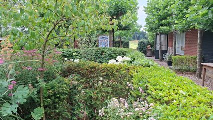 Open Tuin en Atelier | Badweg 10
