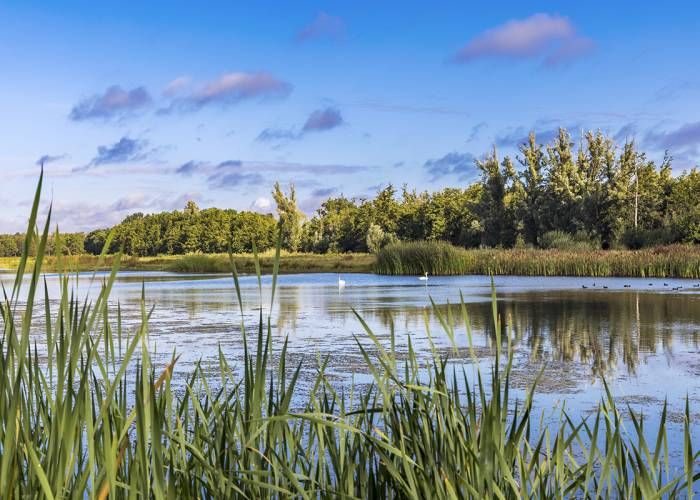 Omgeving van het Maaspark
