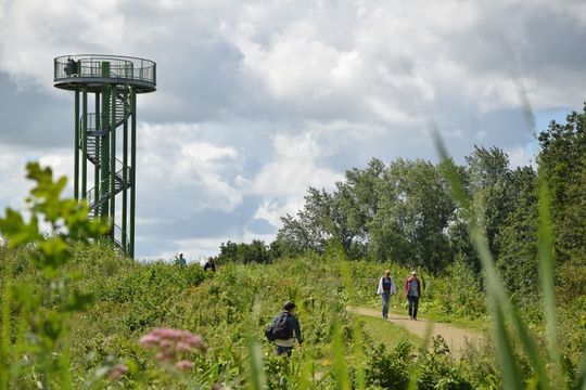Tuurtoren Horsterwold in de natuur met wandelaars in Zeewolde, Flevoland