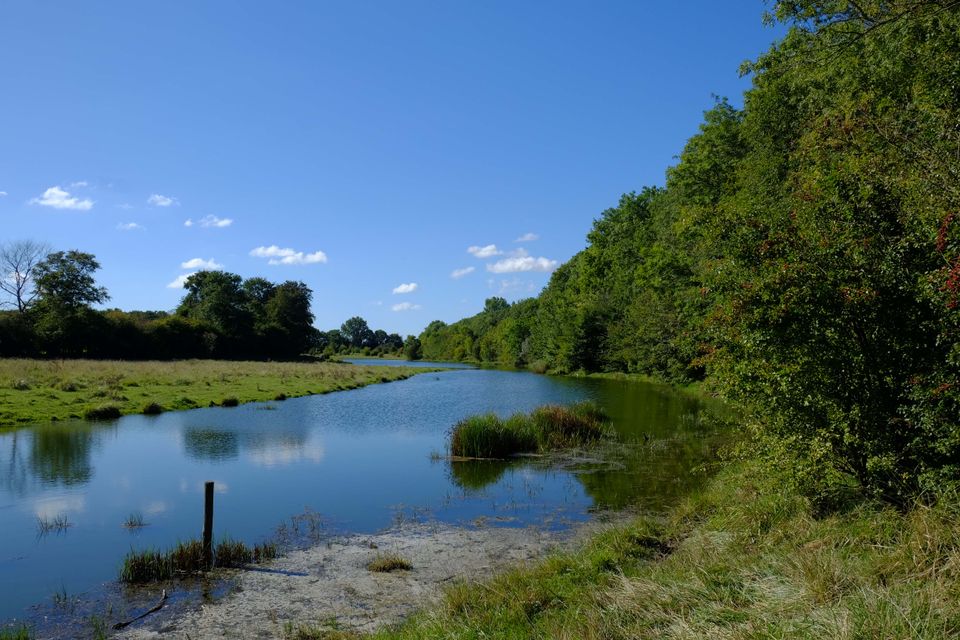 Natuurgebied Dijkwater