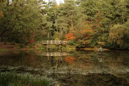 vijver Fonteinbos Oudemirdum