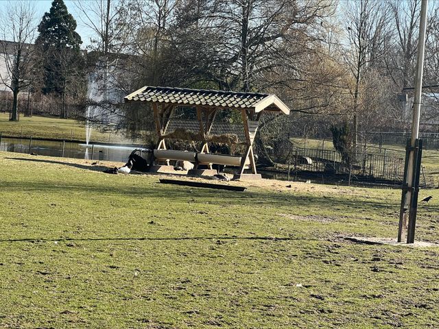Dierenpark 't Regter Eind