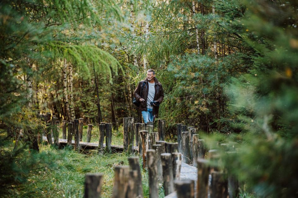 wandelen man plankenpad spier dwingelderveld