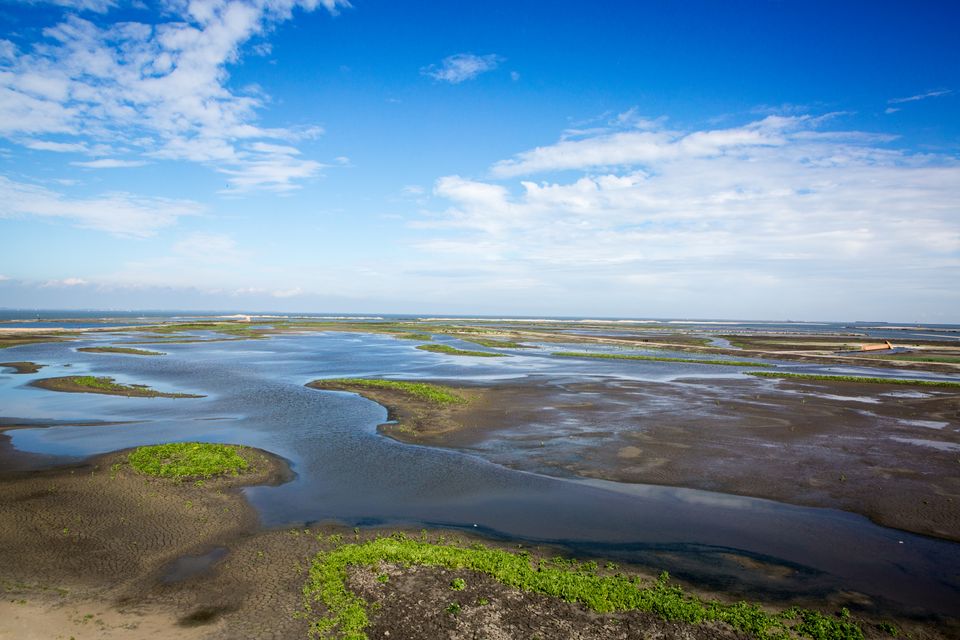 Markerwadden eilanden nieuwe natuur Lelystad water