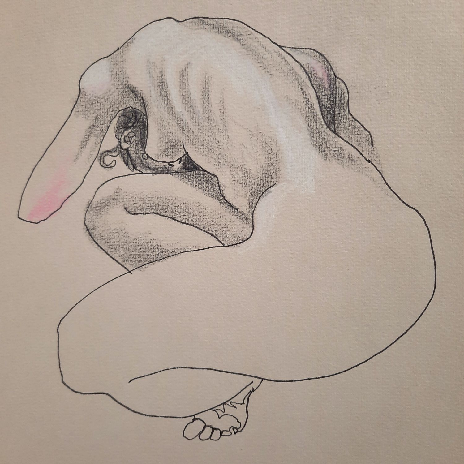 Tekening model