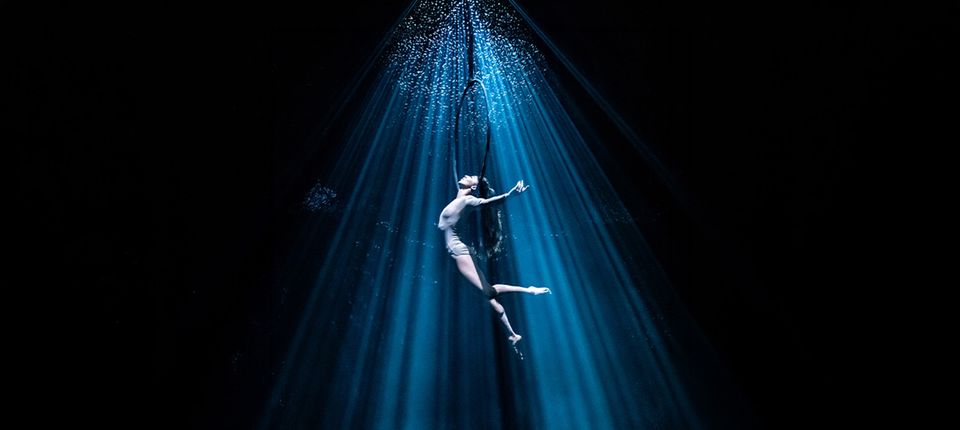 Programmering van Theater de Lievekamp