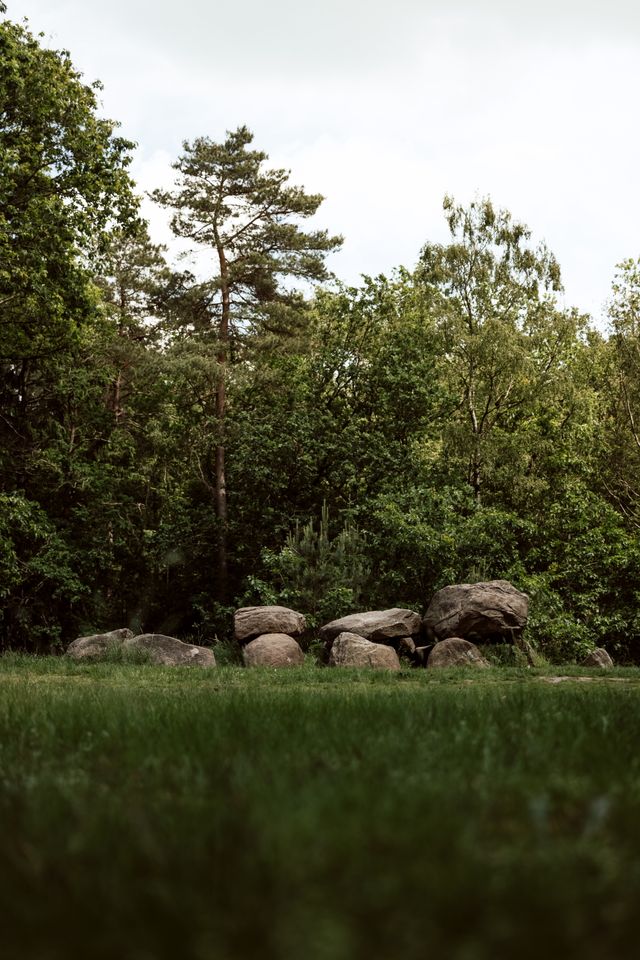 Een hunebed in het gras met een bos op de achtergrond.