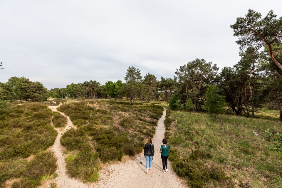 Twee mensen wandelen over het pad in Grenspark Kalmthoutse Heide. Je ziet de mensen van bovenaf.
