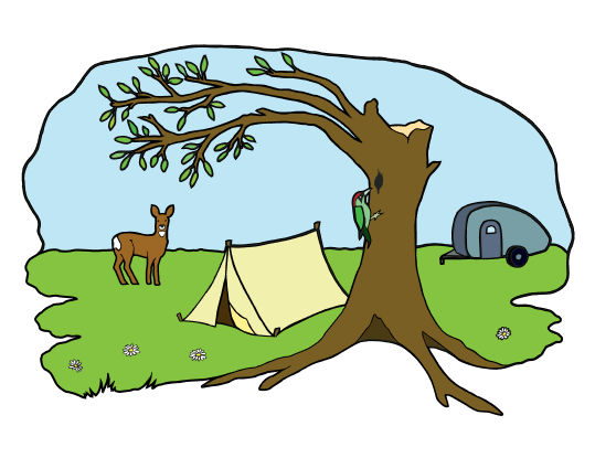 Camping Ruigenhil