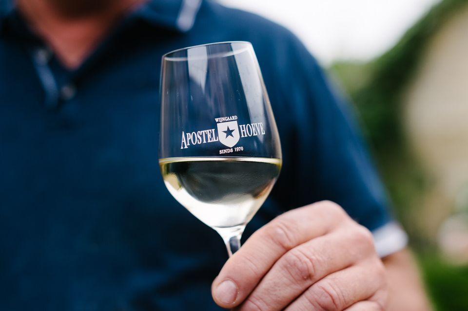 Apostelhoeve vineyard glass of wine