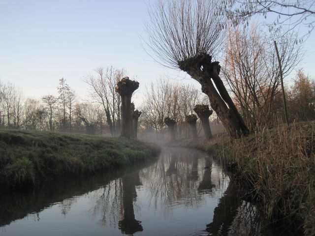 Heempark