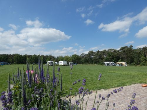 Royale campingplaatsen op  Dennenburg Lage Mierde
