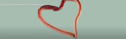 Twee regenwormen gevormd in een hartje als figuur