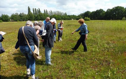 Excursie | IVN-KNNV | Nieuwe natuur in de Kemperspoelen