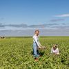 Eetbaar Fryslân: foodroute Harlingen - Franeker