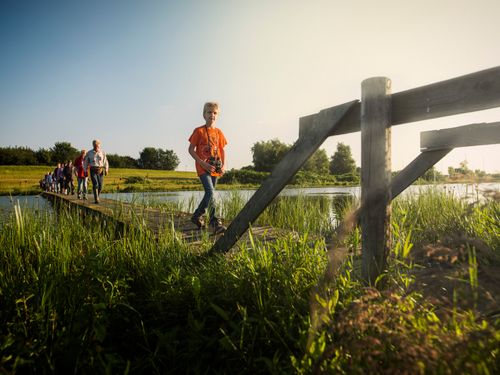 Een groep wandelaars loopt over het bruggetje bij de Dintelse Gorzen, een jongetje met verrekijker loopt voorop.