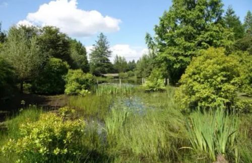 natuur
