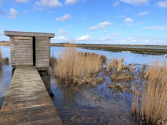 de vogelkijkhut in de Twijzelermieden in Land in Friesland